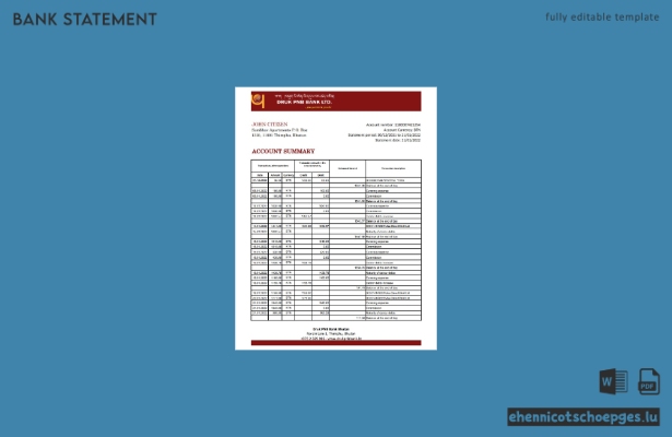 Bhutan Druk PNB-Kontoauszug Excel-Beispielvorschau
